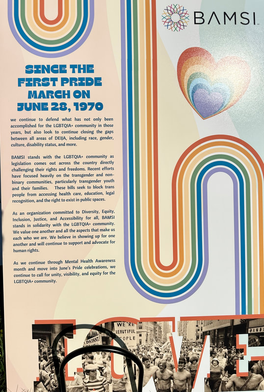 A poster displayed at the BAMSI table titled, "Since The First Pride March on June 28, 1970."