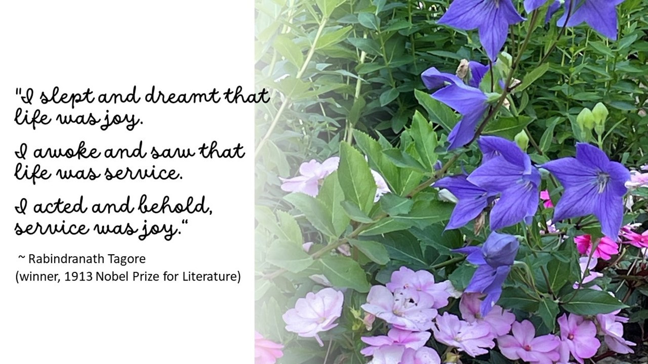 Garden shot of blue and pink flowers accompanied by this saying: 