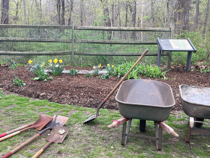 Wheelbarrows, shovels, and other tools used in the park cleanup.